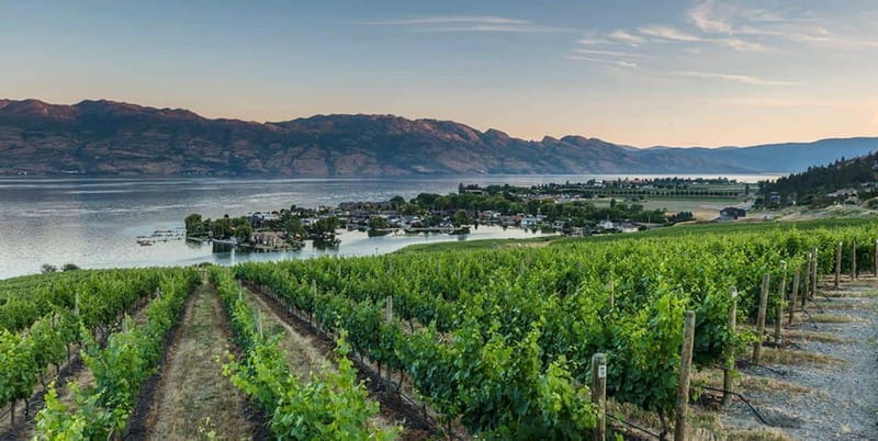Penticton: Naramata Bench Full Day Guided Wine Tour - Bench 1775 brings the lake views back