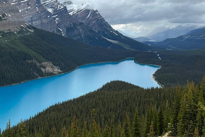 Peyto Lake, Bow Lake Lake Louise Moraine Lake Half Day Tour - What the timing feels like on the ground