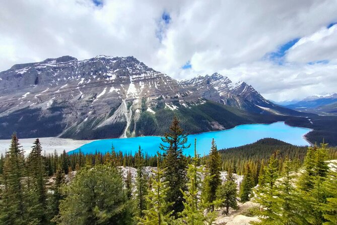 Peyto Lake, Bow Lake Lake Louise Moraine Lake Half Day Tour - Summer route: Lake Louise and Moraine Lake