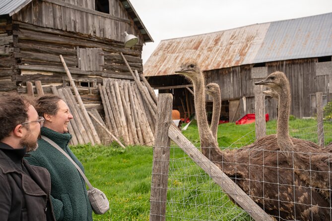 Pontiac Farm Tour - Day Trip From Ottawa & Gatineau - Key things to know before booking