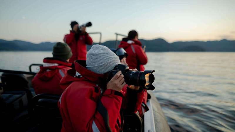 Port Hardy: Sea Otter and Whale Watching - Guides with local context