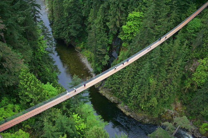 Post-cruise: Vancouver Tour with Lookout & Capilano Bridge - Why this works well after an Alaska cruise