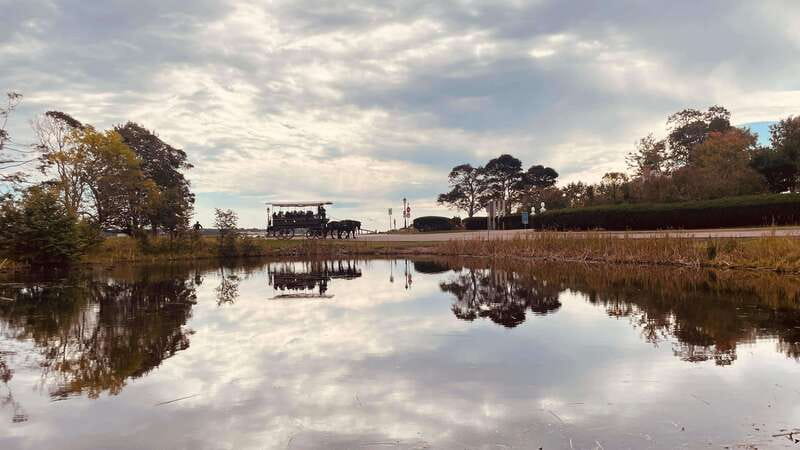 Prince Edward Island: Horse-Drawn Carriage Tour - Stories that go beyond the street in front of you