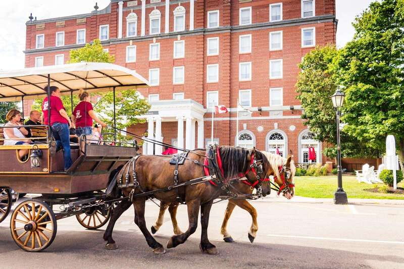 Prince Edward Island: Horse-Drawn Carriage Tour - The best way to fit it into your day
