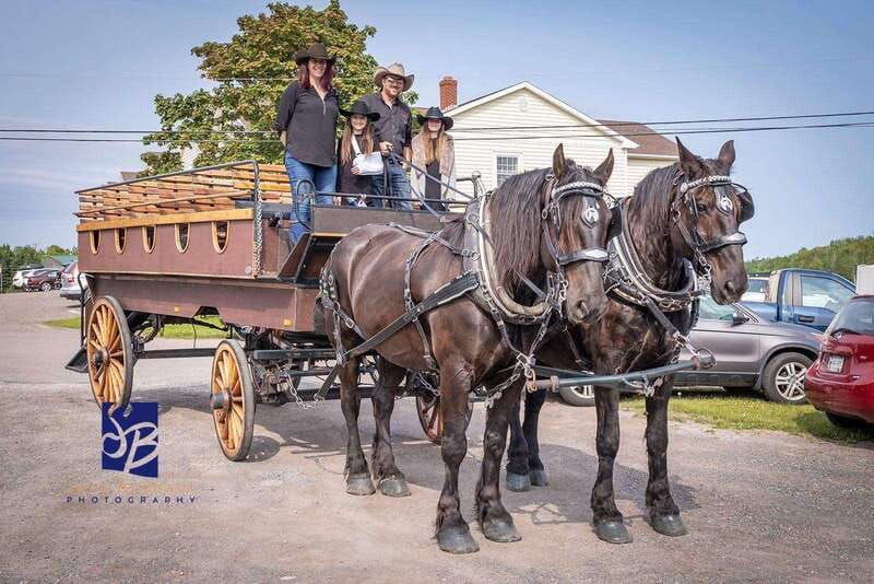 Prince Edward Island: Horse-Drawn Carriage Tour - Meeting outside Founders Hall