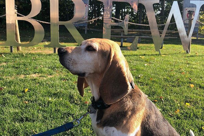 Private:Brewery, Winery, and Cider & Spirit Tastings Tour in SW Ontario - Bad Apple Brewing: a local brewery stop, not a cidery