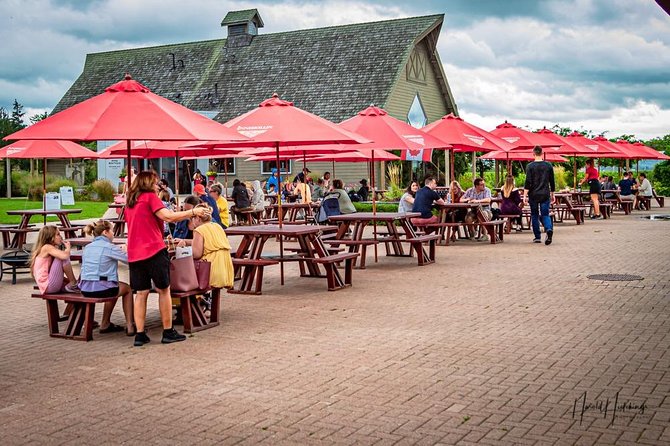 Private Customizable Niagara Wine, Beer, and Spirits Day Tour - What the $412.12 price really buys
