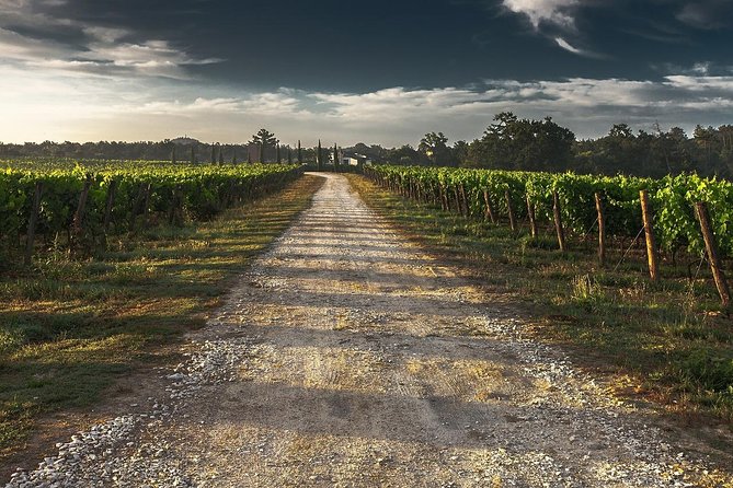 Private Customizable Scenic Niagara Boutique-Winery Day Tour - Key points for planning your Niagara wine day