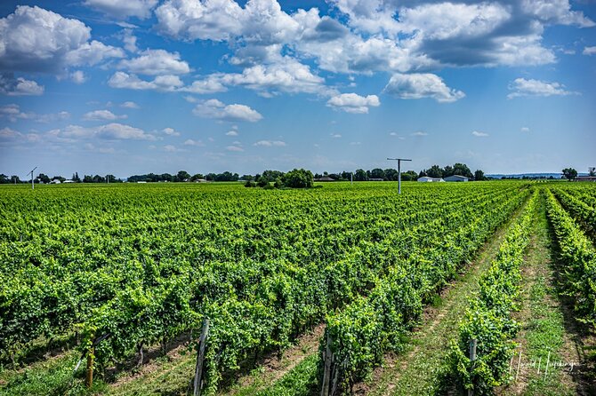 Private Customizable Scenic Niagara Boutique-Winery Day Tour - Is $411.55 per person a fair price?