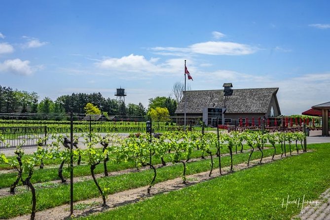 Private Customizable Wine-Tasting Adventure/Day Tour Niagara - Picking wineries that match your taste