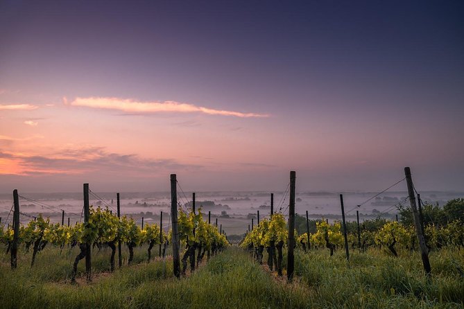 Private Customizable Wine-Tasting Adventure/Day Tour Niagara - The guide makes or breaks the experience