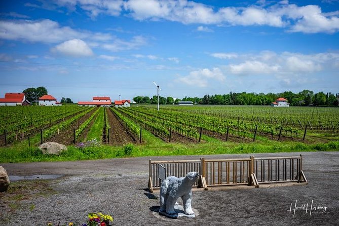 Private Customizable Wine-Tasting Adventure/Day Tour Niagara - Who will get the most value?