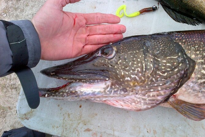 Private Fishing Adventure on the St. Lawrence River - Four hours gives the outing a useful pace