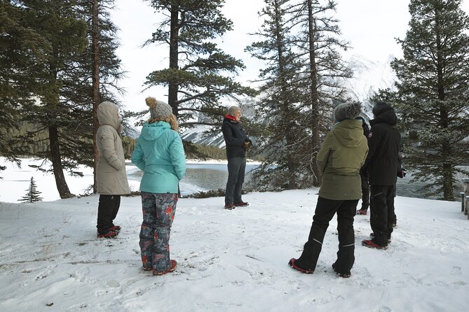 Private Forest Bathing Experience Connect with Nature - What Scott Brings to the Session