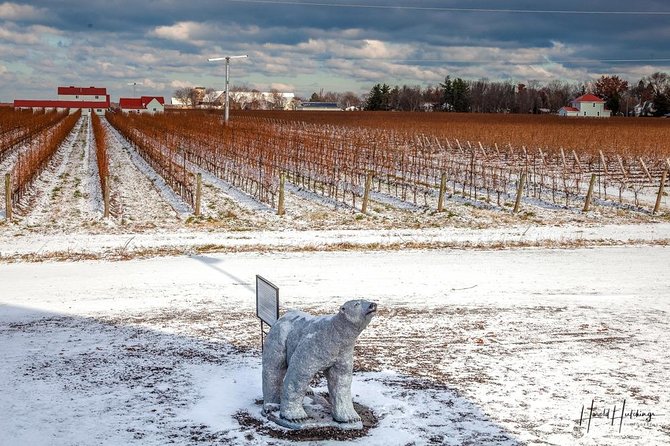 Private Niagara Ice Wine Tour - Building a Winery Route Around Your Interests