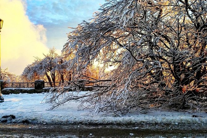 Private Niagara Ice Wine Tour - Tasting Fees Can Change the Real Cost