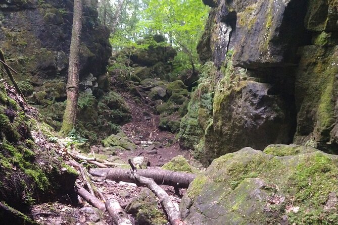 Private Singhampton Caves Hiking Tour, Collingwood/Blue Mountain - Walking into the Singhampton Caves