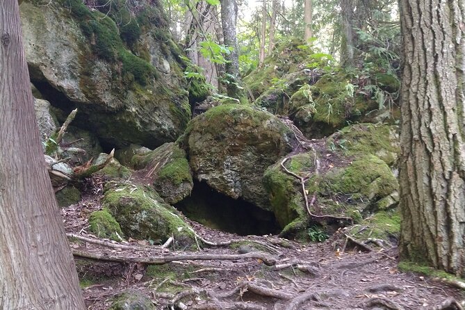 Private Singhampton Caves Hiking Tour, Collingwood/Blue Mountain - A return route shaped around your interests