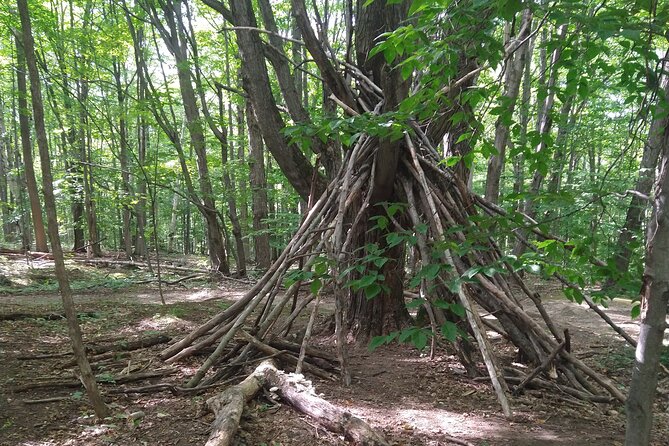 Private Singhampton Caves Hiking Tour, Collingwood/Blue Mountain - What the private price includes in practical terms