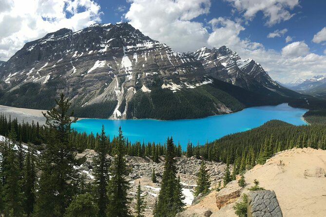Private Tour Banff Yoho Jasper National Park for a Small Group - Is CAD$664.47 good value for three people?