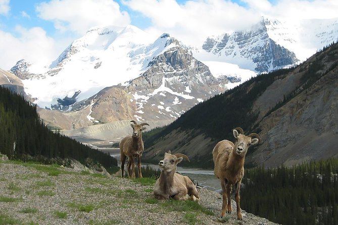 Private Tour: Majestic Mountains PHOTO SAFARI Drive - 4H - Key Points for Photographers