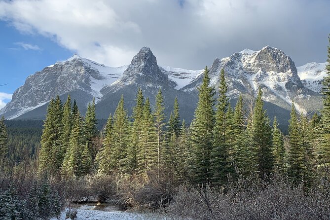 Private Tour: Majestic Mountains PHOTO SAFARI Drive - 4H - Wildlife Viewing Without False Promises