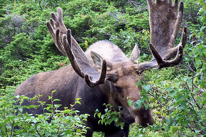 Private Tour: Majestic Mountains PHOTO SAFARI Drive - 4H - A Guide Who Adds More Than Directions