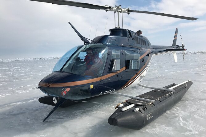 Private Tour: Niagara Falls Helicopter Flight - Leaving from Niagara District Airport near Virgil