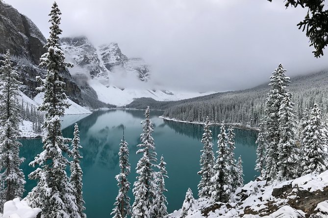 Private Tour of Lake Louise and the Icefield Parkway for up to 12 guests - Bow Lake is the quiet reward