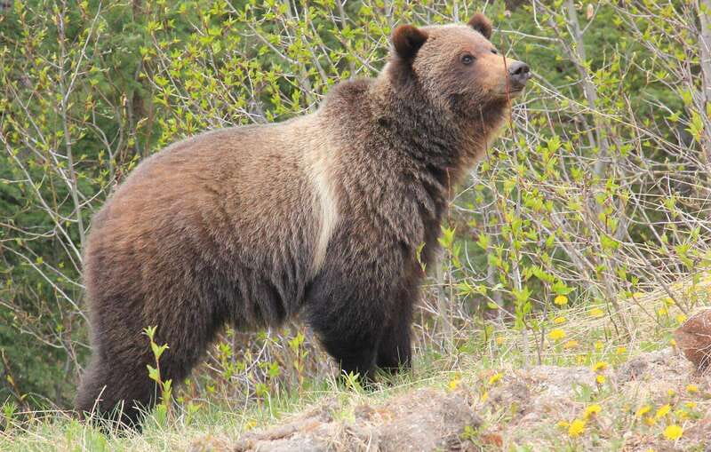 PRIVATE Wilderness and Wildlife Walking Tour - 3hrs - Practical value of the inclusions