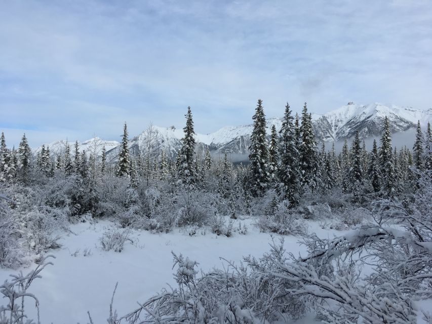 PRIVATE Wilderness and Wildlife Walking Tour - 3hrs - The scenery is part of the reward