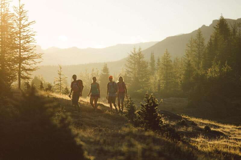 PRIVATE Wilderness and Wildlife Walking Tour - 3hrs - Safety in bear country