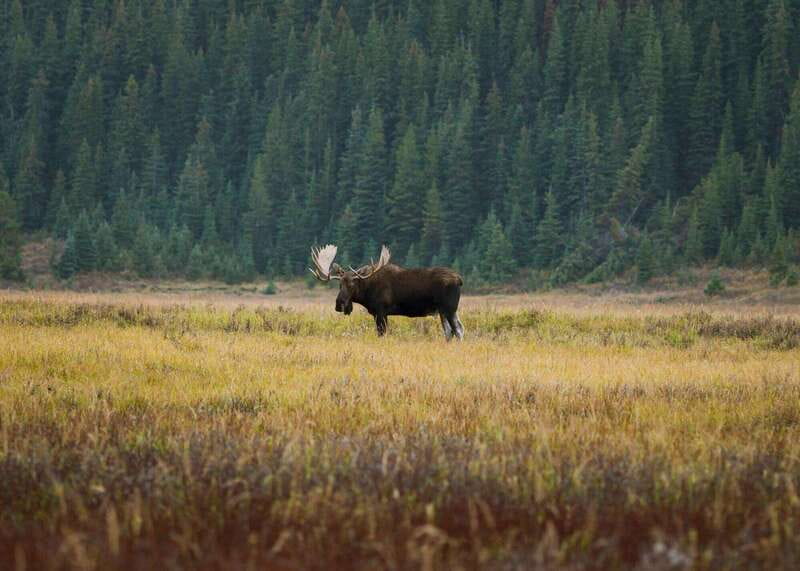 PRIVATE Wilderness and Wildlife Walking Tour - 3hrs - Who will get the most from this walk?