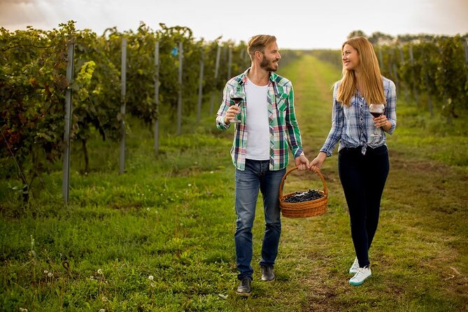 Private Wine Tour in Niagara-on-the-Lake w/ cheese & charcuterie - Three wineries, one private ride through Niagara wine country
