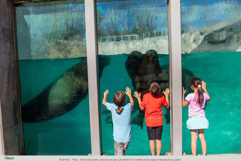 Quebec: Aquarium du Quebec Entry Ticket - Jellyfish, seahorses, and Canada’s two coasts