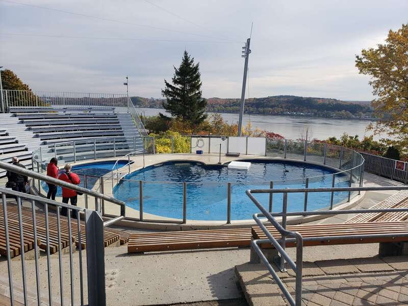 Quebec: Aquarium du Quebec Entry Ticket - What the $19 ticket really buys you