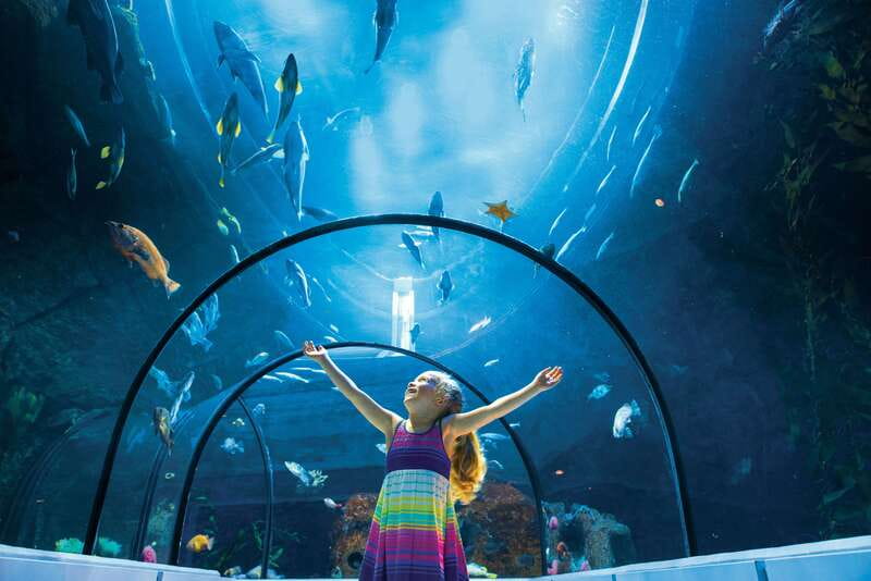Quebec: Aquarium du Quebec Entry Ticket - Inside the Awesome Ocean tunnel