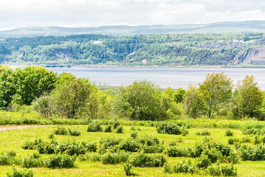 Québec City: Guided Sightseeing River Cruise - Outdoor decks, indoor comfort, and onboard food