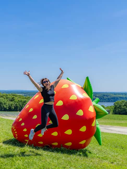 Quebec City: Ile d'Orléans Guided E-Bike Tour with Tastings - Key points to know before you book