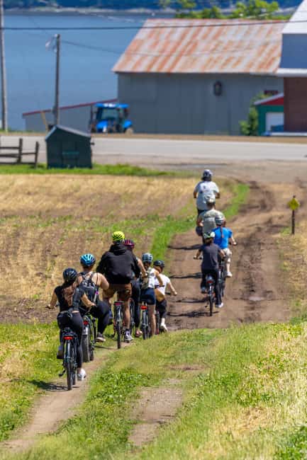 Quebec City: Ile d'Orléans Guided E-Bike Tour with Tastings - The vineyard stop and a final local taste