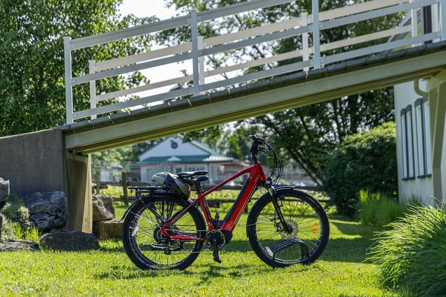 Quebec City: Ile d'Orléans Guided E-Bike Tour with Tastings - What the guides add to the experience