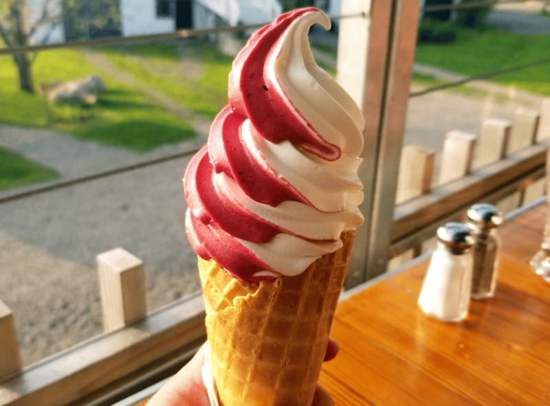 Quebec City: Island of Orléans Taste Trail - Key points to know before you book