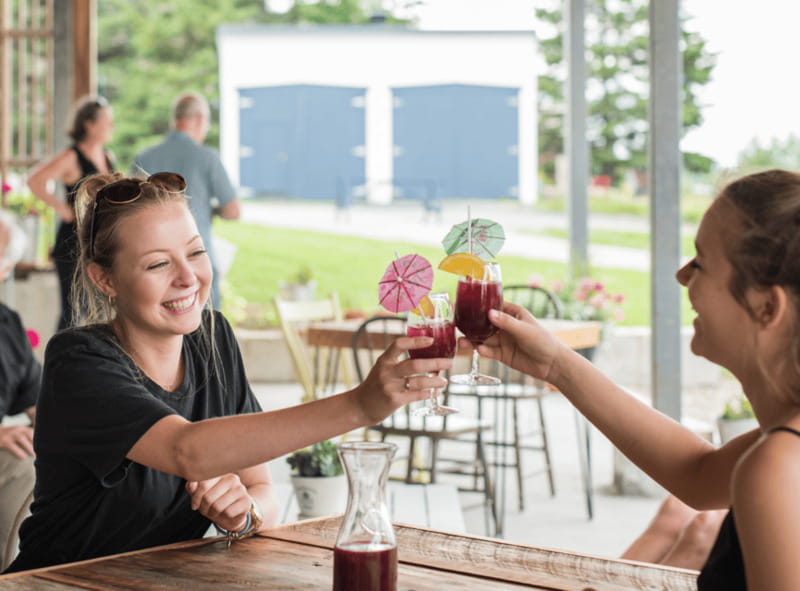 Quebec City: Island of Orléans Taste Trail - What the bus format adds to the day