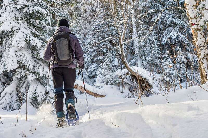 Quebec City: Jacques-Cartier National Park Snowshoeing Tour - Key points to know before you go