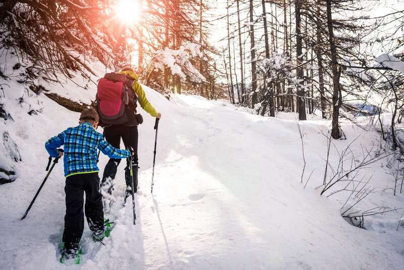 Quebec City: Jacques-Cartier National Park Snowshoeing Tour - From Quebec City to the Laurentian forest