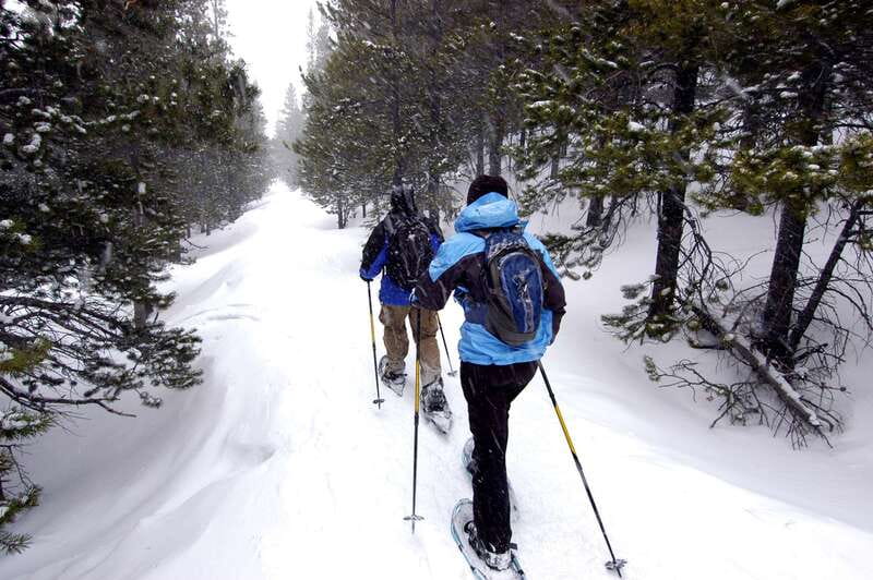 Quebec City: Jacques-Cartier National Park Snowshoeing Tour - Belleau Creek, river views, and quiet trails