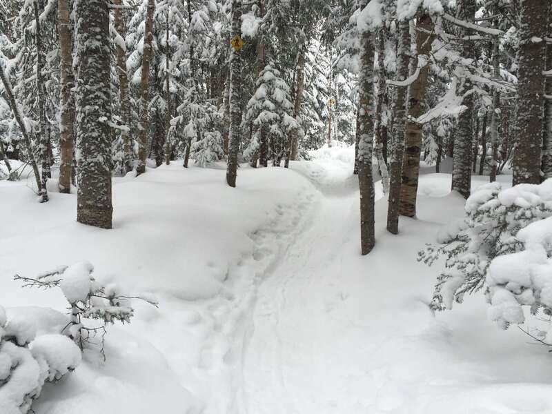 Quebec City: Jacques-Cartier National Park Snowshoeing Tour - Hot chocolate and a heated tent