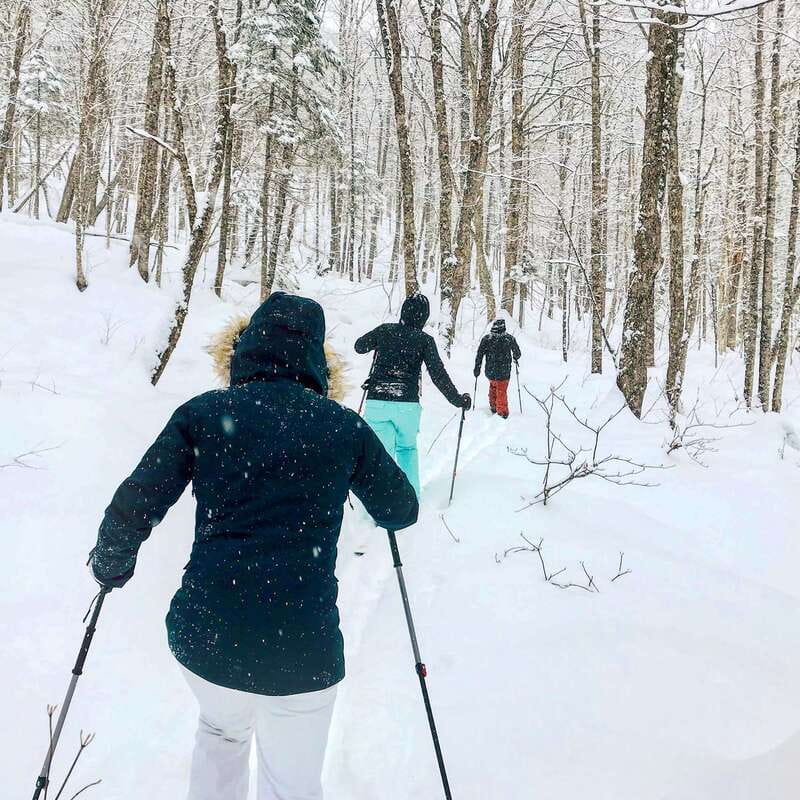 Quebec City: Jacques-Cartier National Park Snowshoeing Tour - The physical demands are easy to underestimate