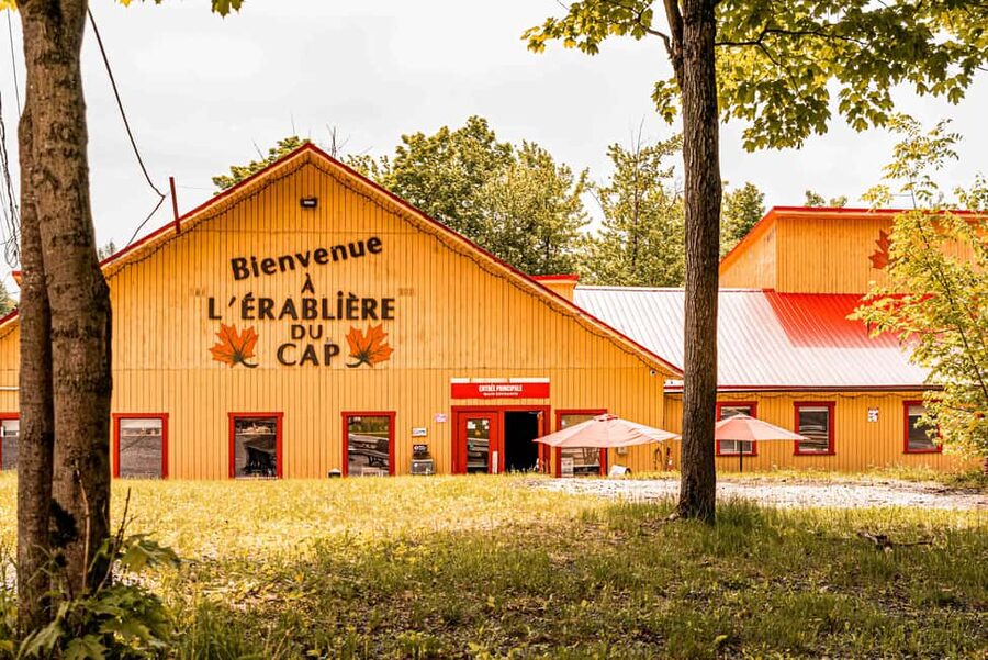 Quebec City (Lévis): self-guided sugar shack tour + meal + maple taffy - Following maple water through the forest