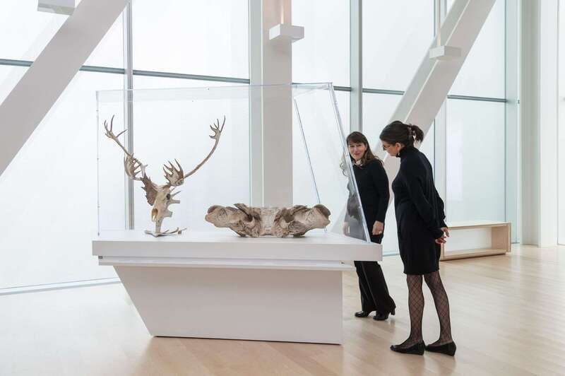 Quebec City: MNBAQ National Fine Arts Museum Entry Ticket - Why the MNBAQ is more than a standard art museum